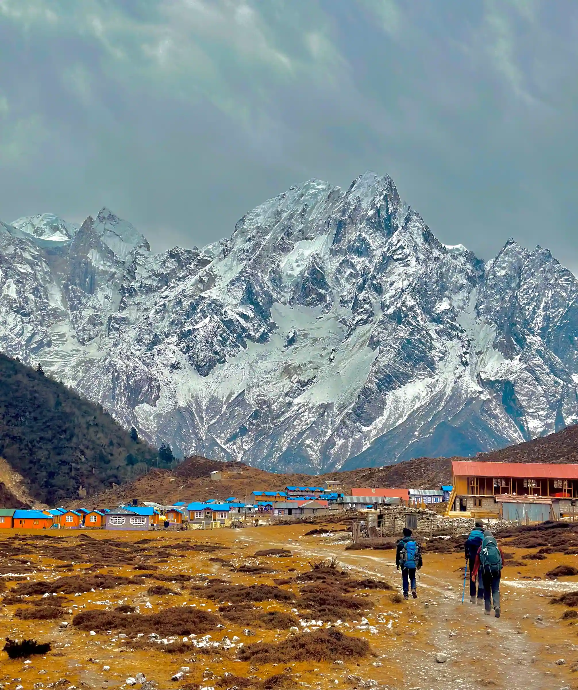 Trekkers walking in to the lodges at Bimthang after crossing Larkya La
